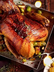 [Translate to Portugiesisch:] 