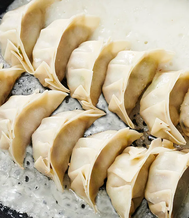 Massa de gyoza caseira